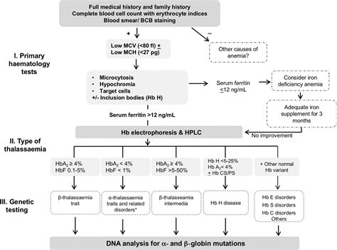 thalassemia trait diagnosis.